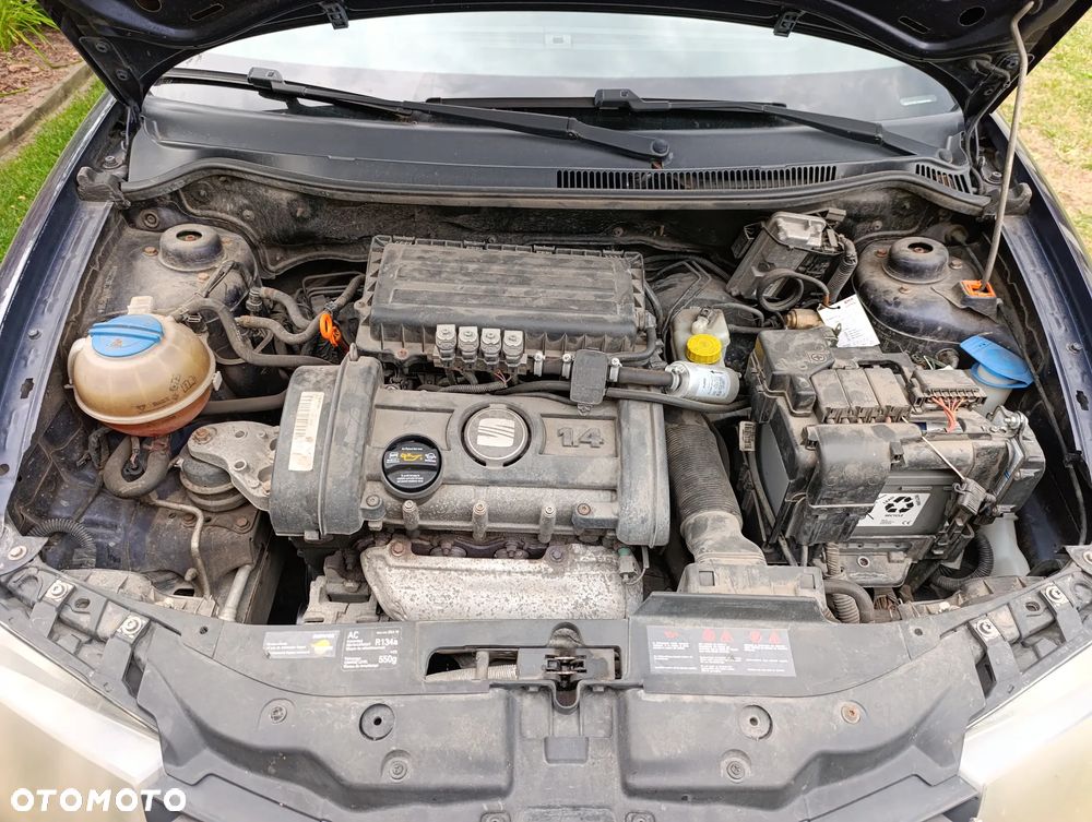 Seat Ibiza - 3