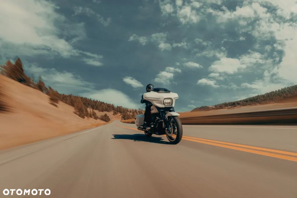 Harley-Davidson Touring Street Glide - 29