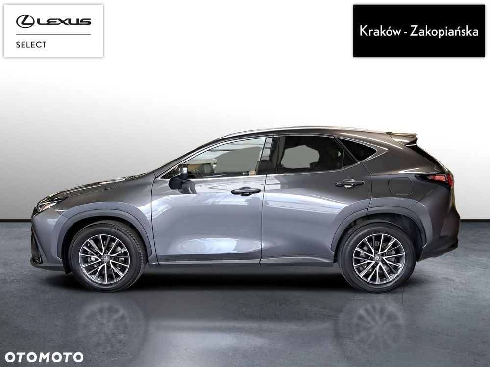 Lexus NX - 3