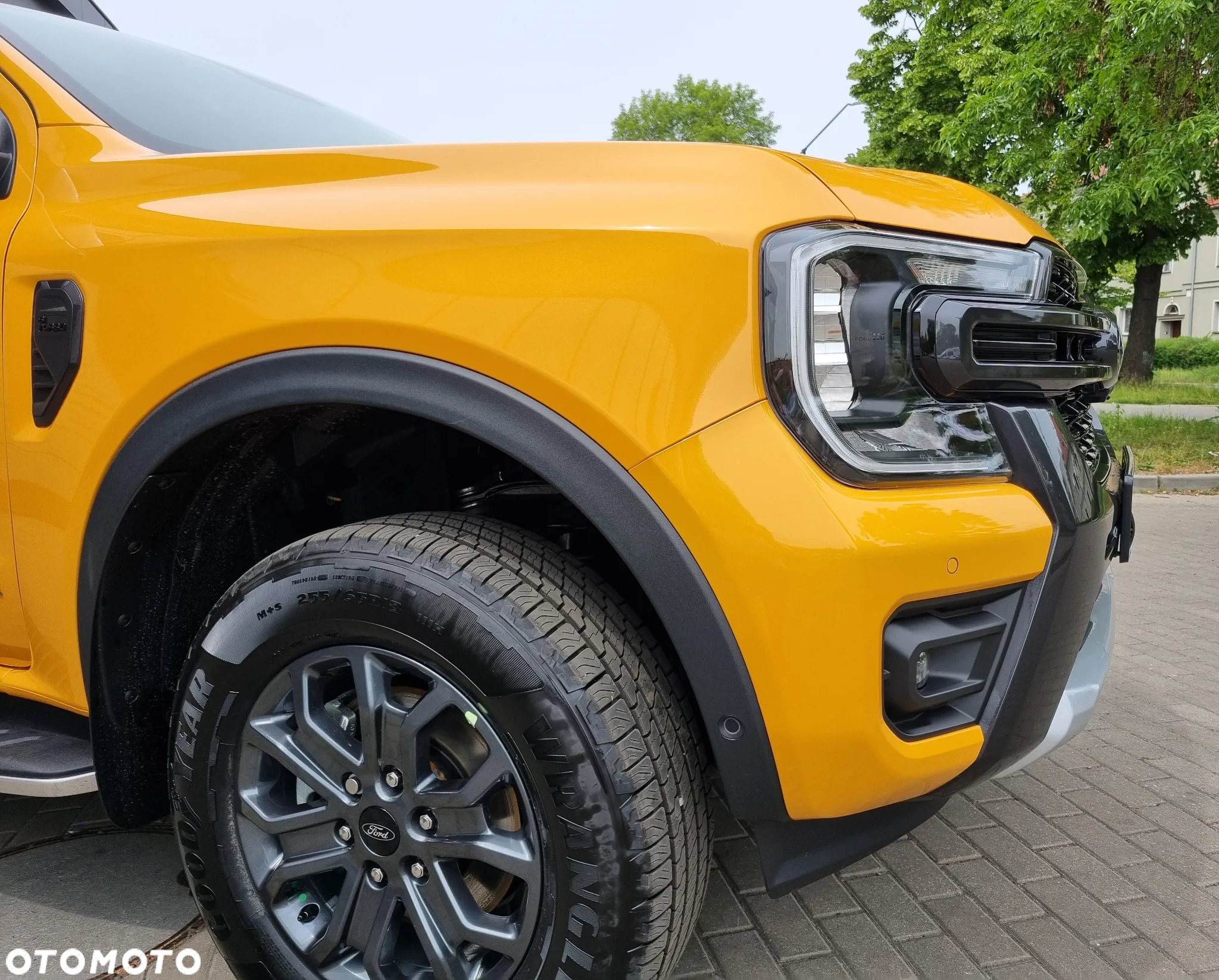 Ford Ranger Wildtrak - 11