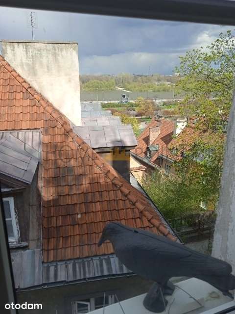 Mini kawalerka na Starym Mieście ulica Brzozowa