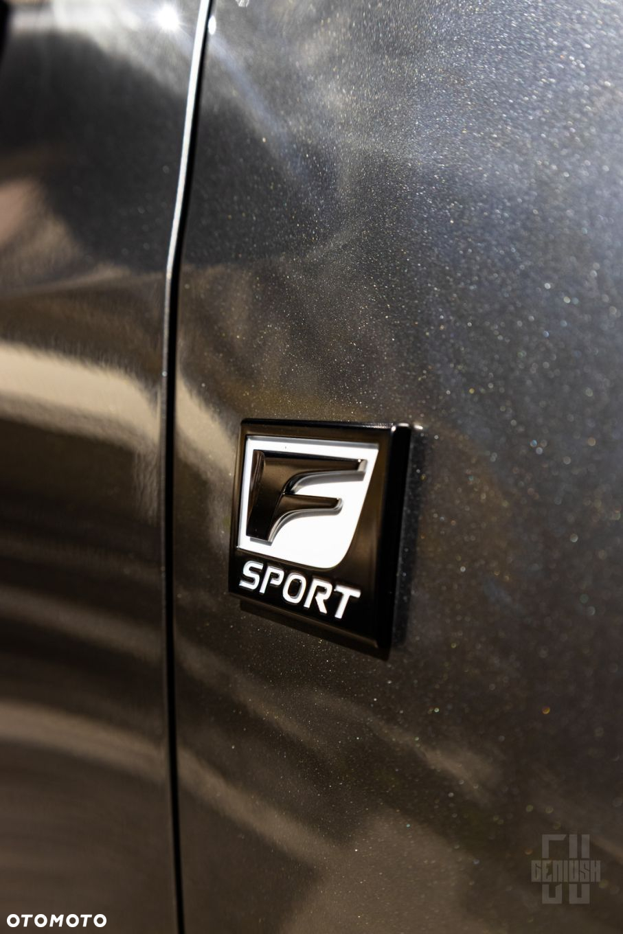 Lexus NX - 7
