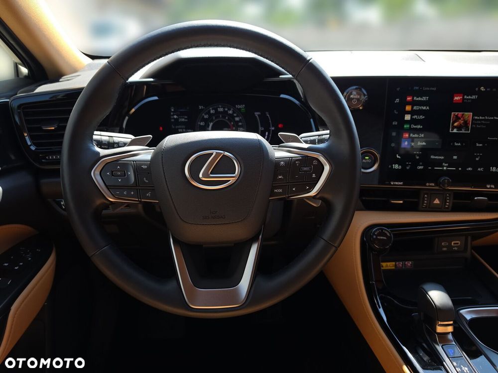 Lexus NX - 13