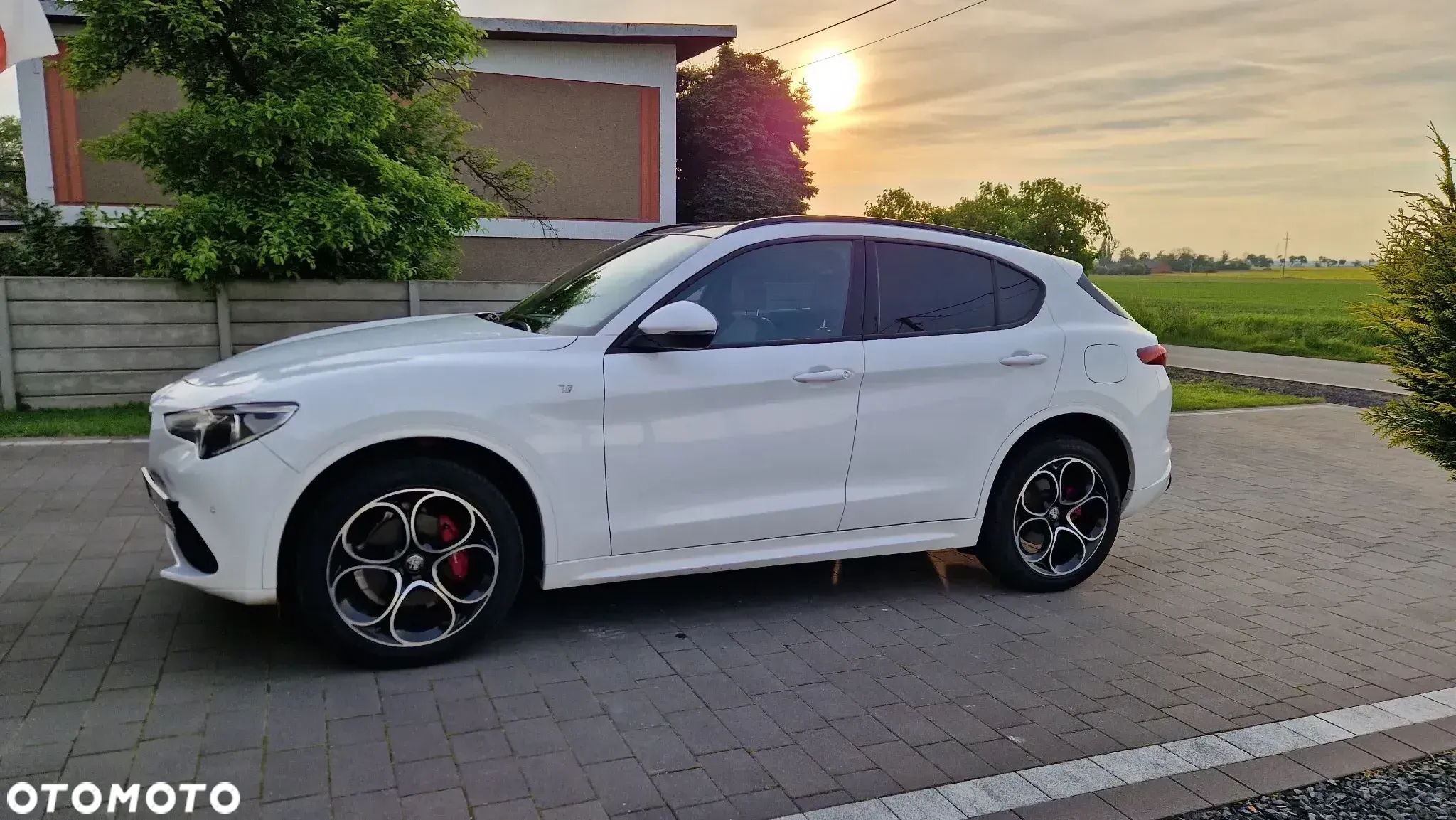 Alfa Romeo Stelvio 2.0 Turbo TI Q4 - 3