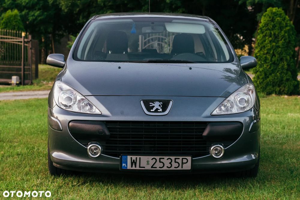 Peugeot 307 1.4 Oxygene - 8
