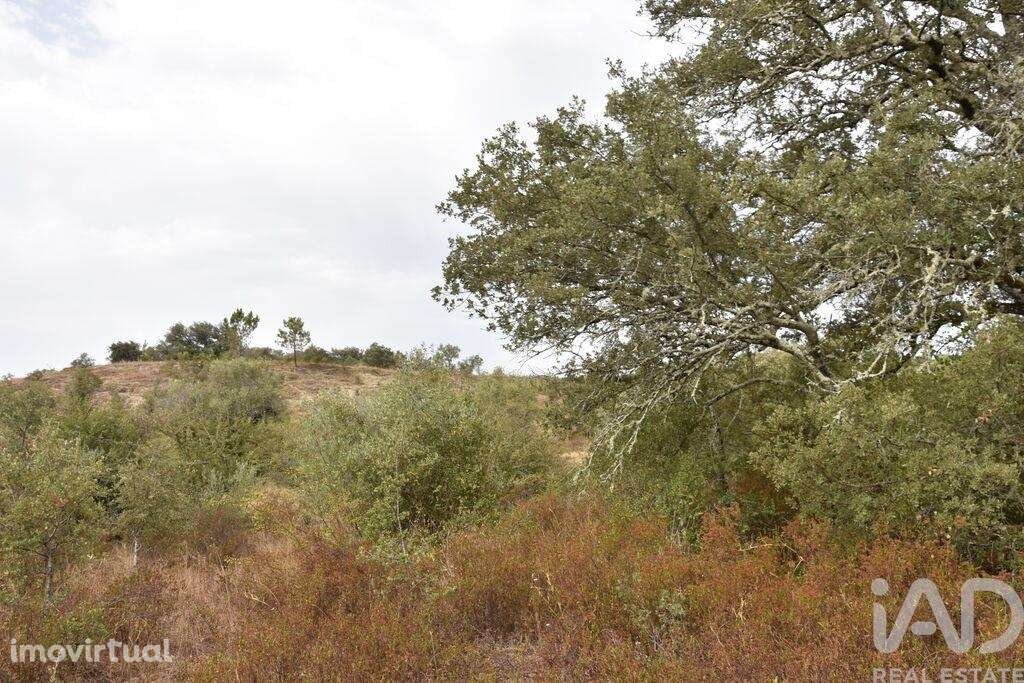 Terreno em Areias e Pias de 5640,00 m2 - Grande imagem: 2/30