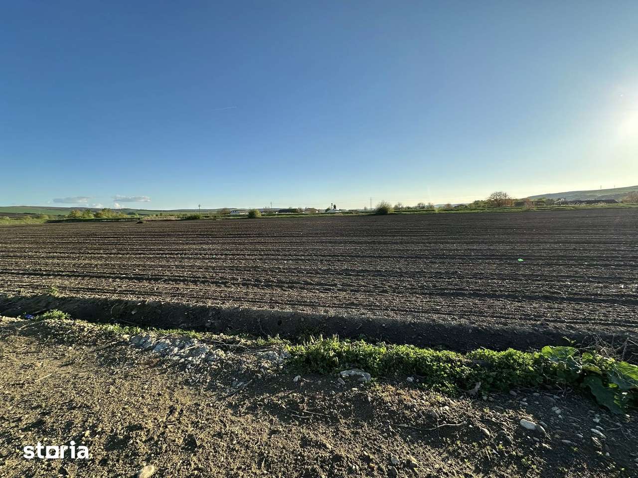 Teren, 10 000 m²,  - Imagine principală: 4/12