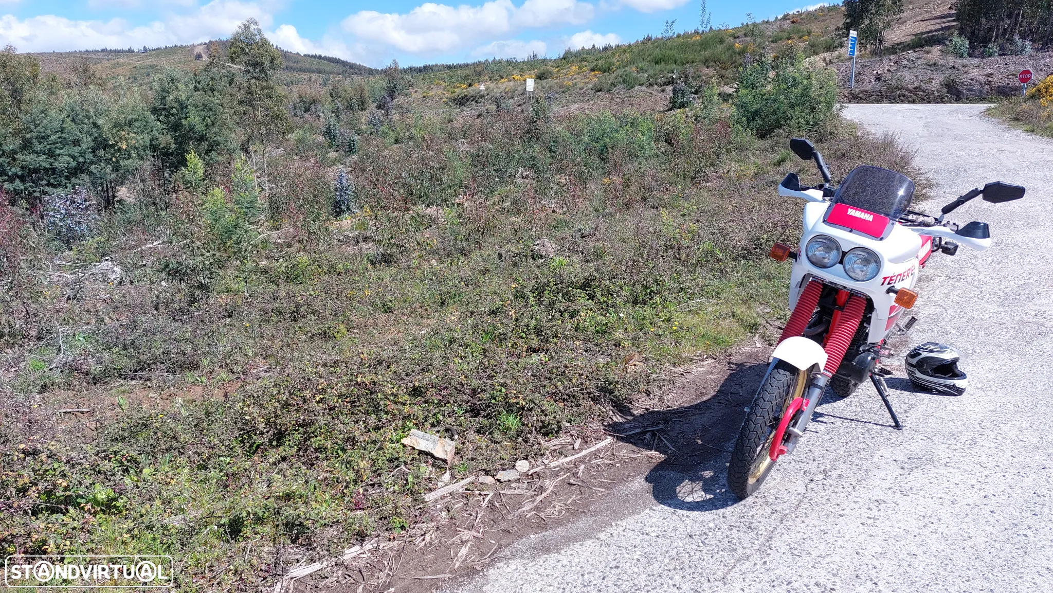 Yamaha XT 600 3AJ Tenere - 4