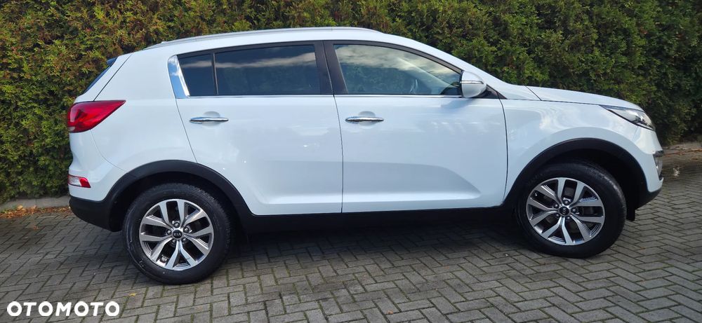 Kia Sportage 1.6 GDI Business Line M 2WD - 17