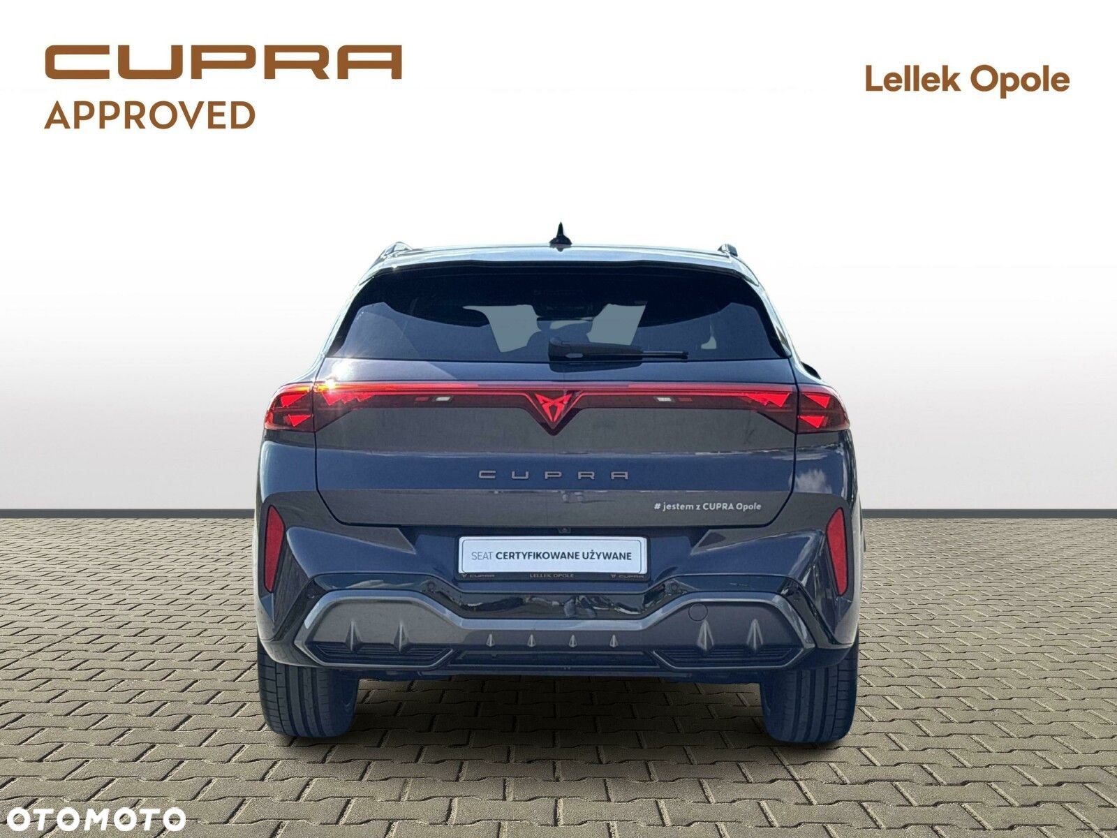 Cupra Terramar 2.0 TSI 4Drive VZ DSG - 4