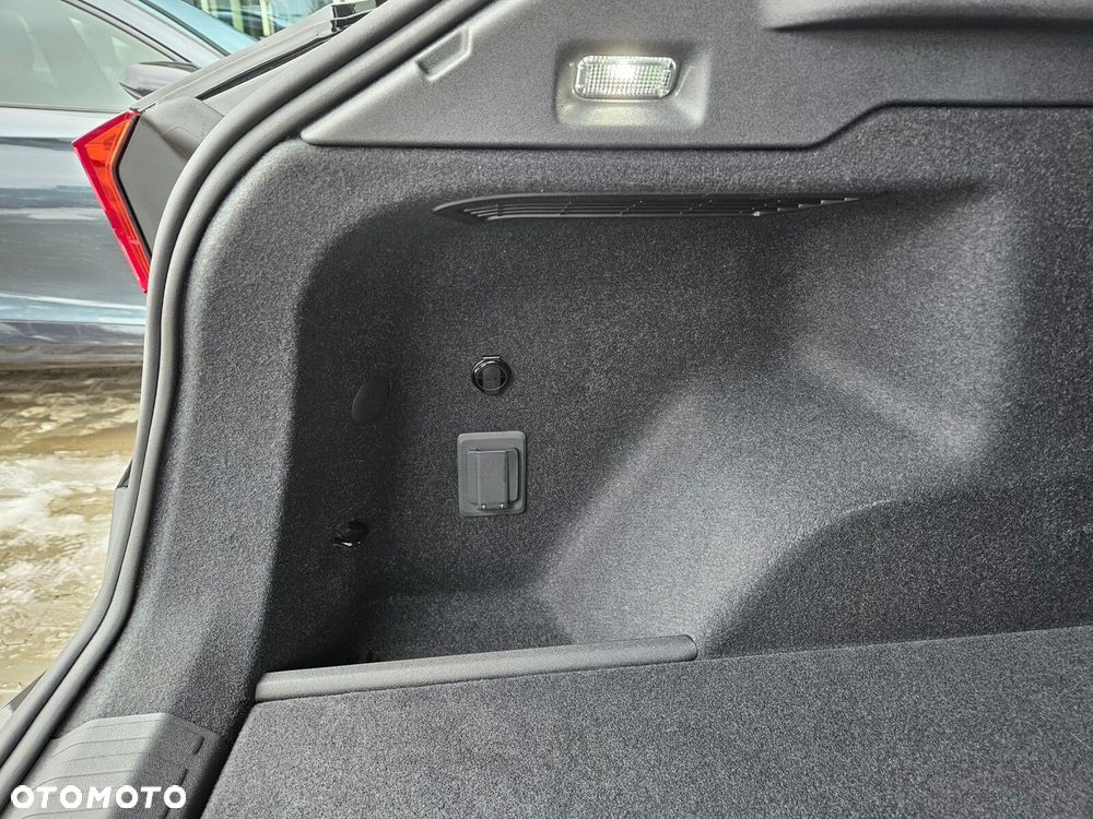 Cupra Terramar 2.0 TSI 4Drive Tribe Edition DSG - 10