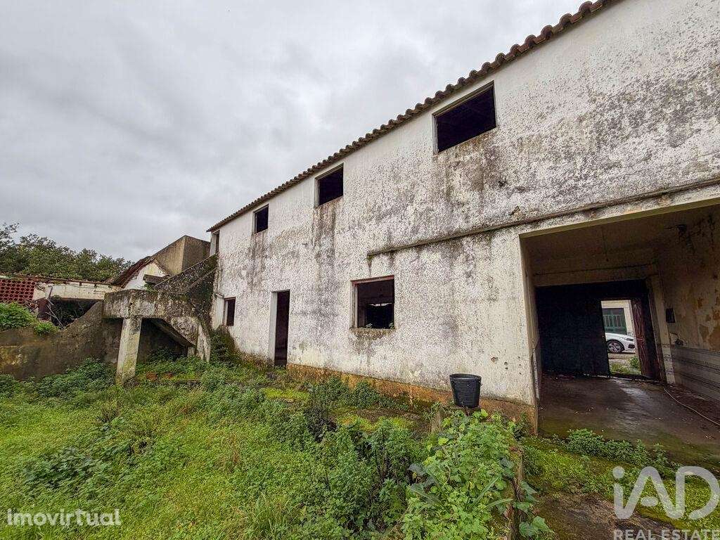 Moradia térrea em Benfica do Ribatejo - Grande imagem: 5/36