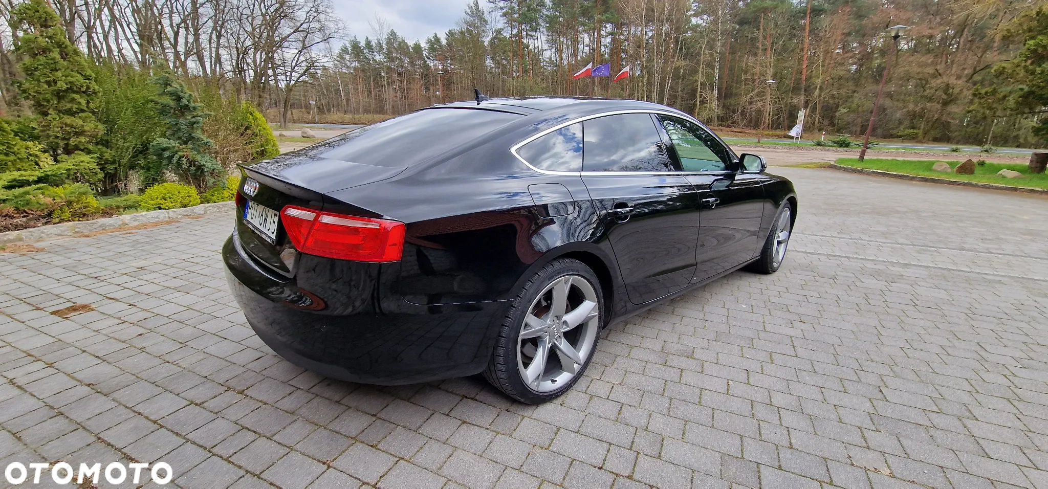 Audi A5 2.0 TDI clean diesel Multitronic - 6