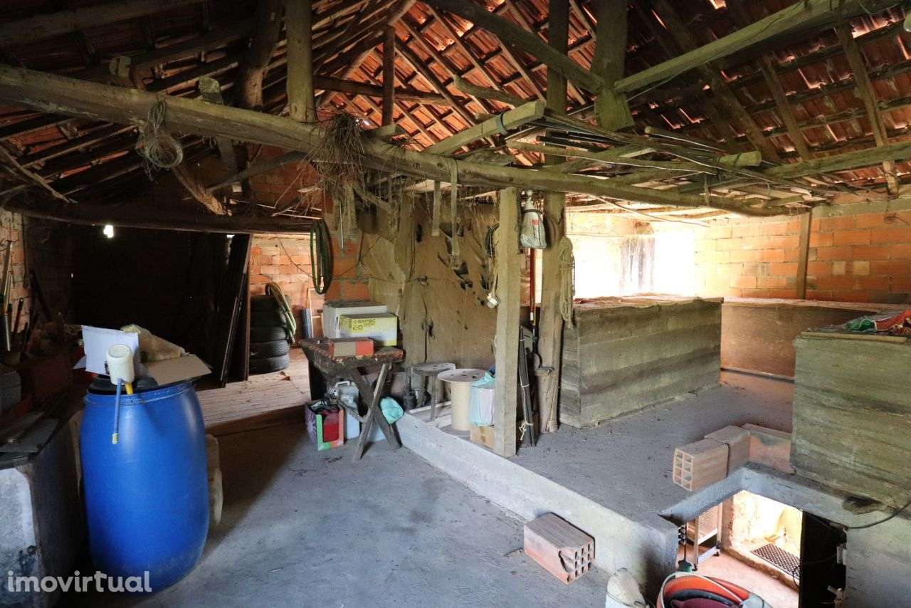 Quintinha em Ansião - Grande imagem: 5/22