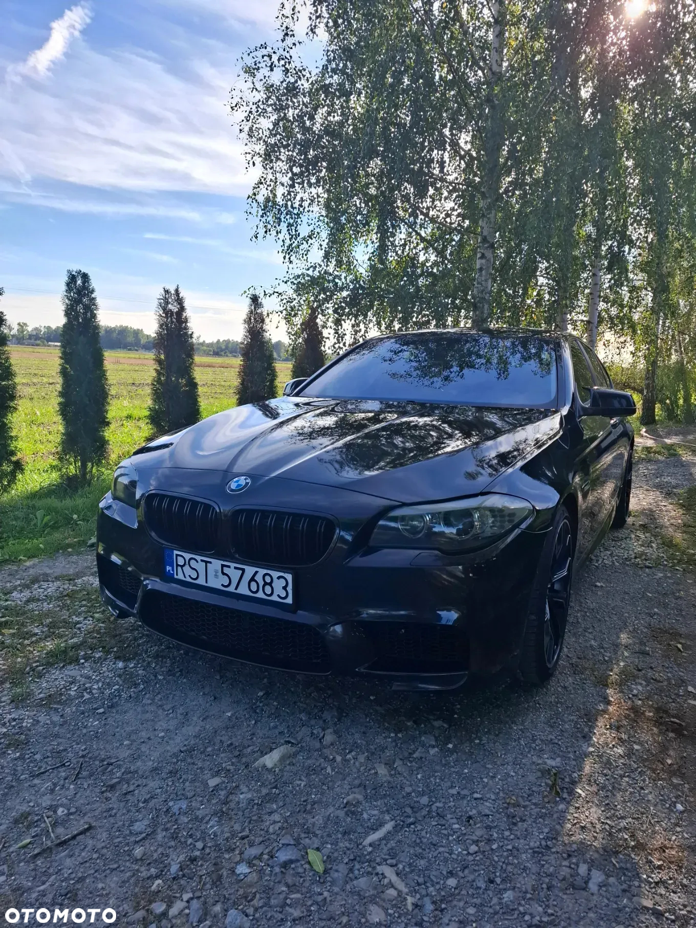 BMW Seria 5 550i - 8