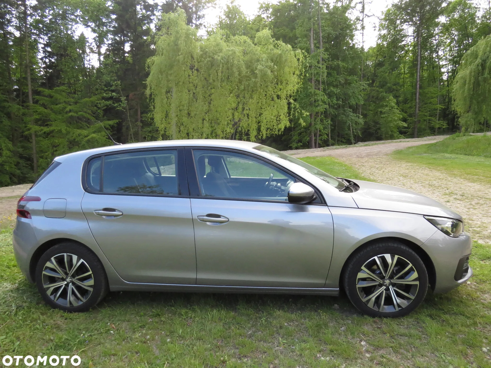 Peugeot 308 1.5 BlueHDi Active Pack Business S&S EAT8 - 14