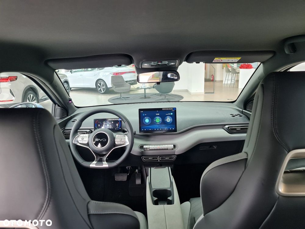 BYD Dolphin Surf - 19