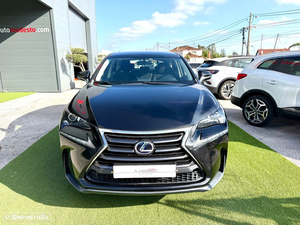 Lexus NX 300h Executive Plus - 7