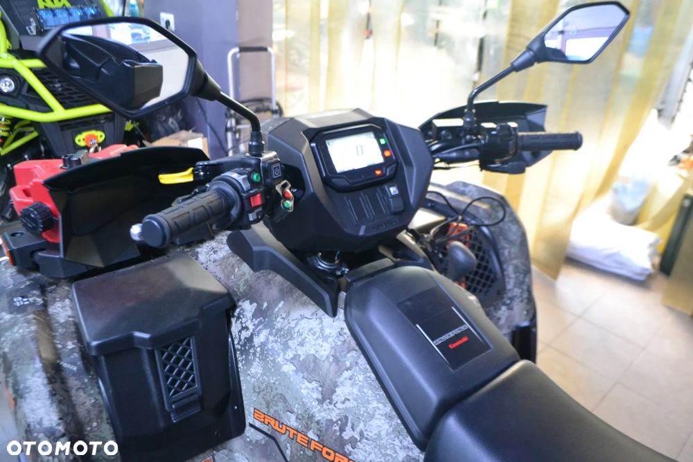 Kawasaki Brute Force - 16
