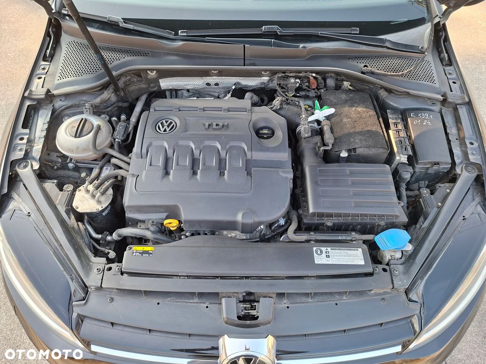 Volkswagen Golf 1.6 TDI BlueMotion Technology DSG Allstar - 16