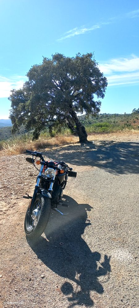 Harley-Davidson Sportster - 5