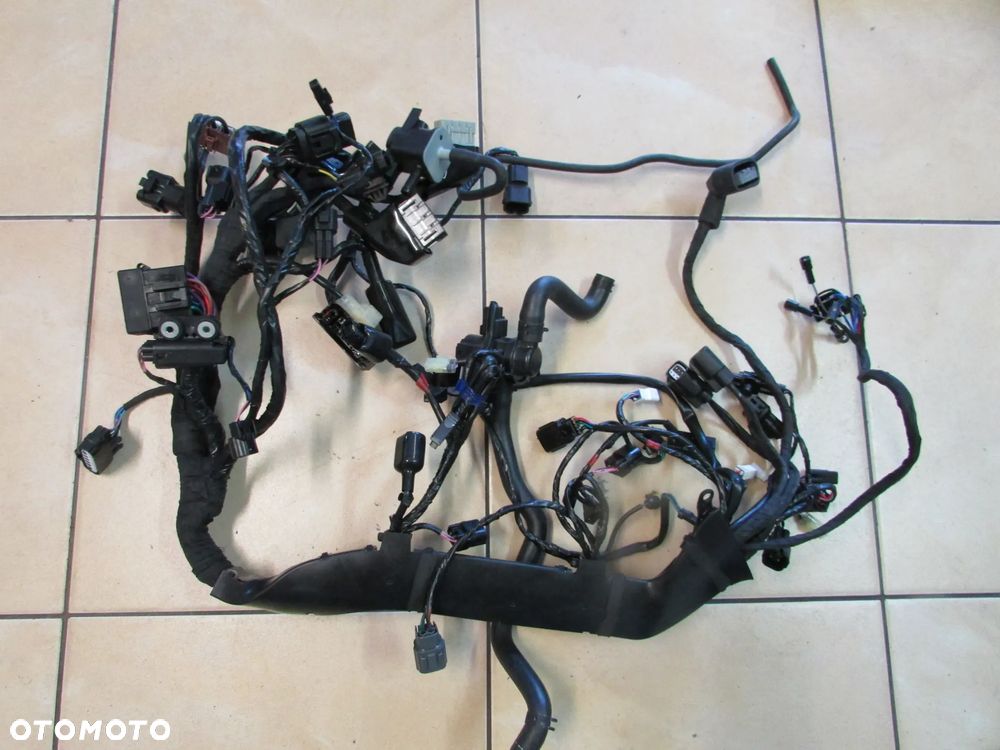 Triumph Speed Twin Street Twin 900 2024 instalacja elektryczna wiązka - 1