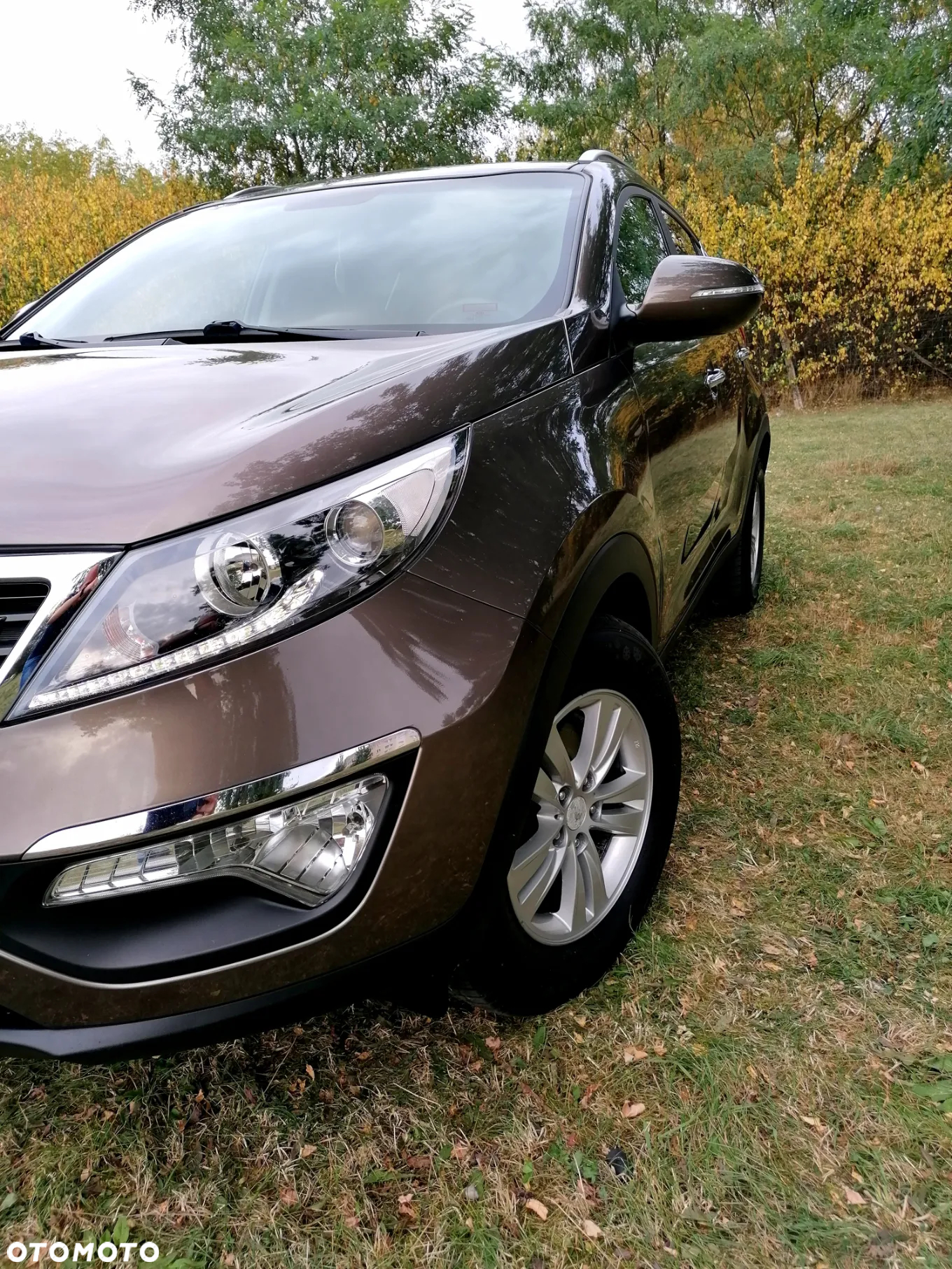 Kia Sportage 1.6 GDI L 2WD - 22