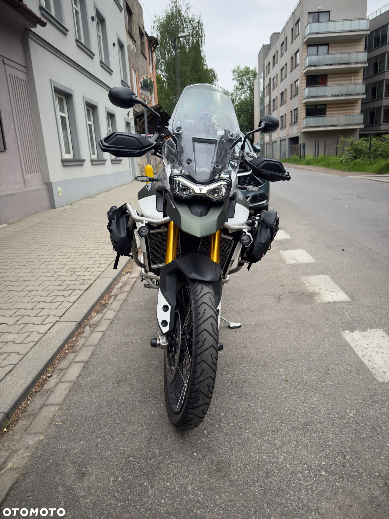Triumph Tiger