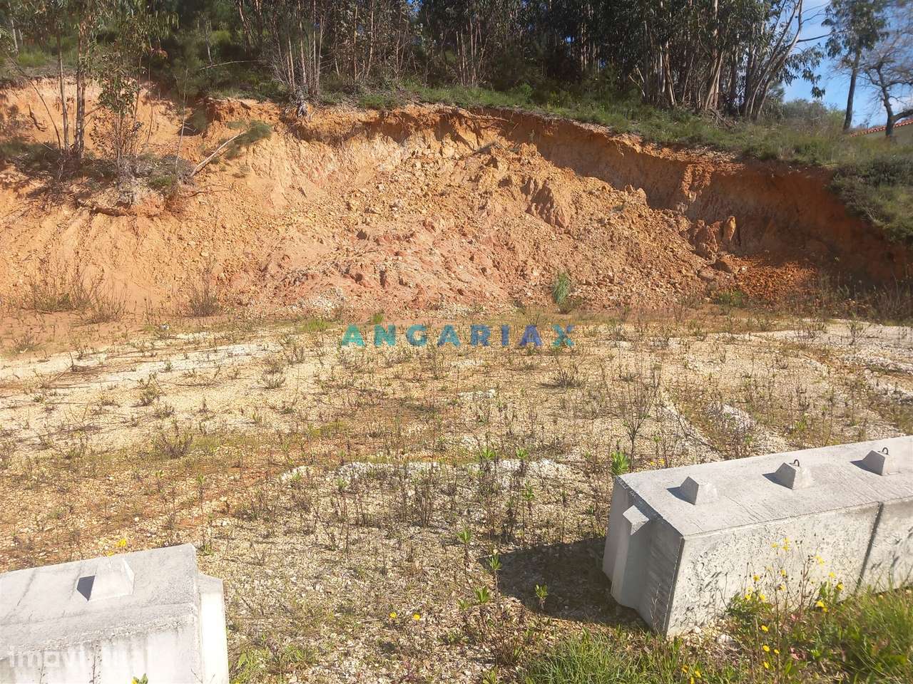 ANG1559 - Terreno para Venda em Pelariga, Pombal - Grande imagem: 2/13