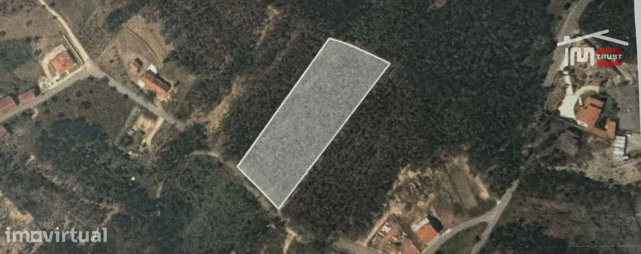 Terreno com área total de 6.800 m2 de pinhal e eucaliptos no Escand... - Grande imagem: 2/17