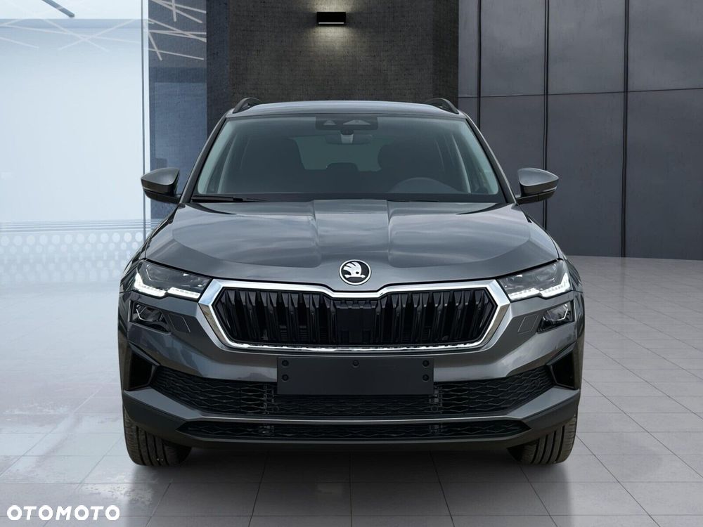 Skoda Karoq - 3