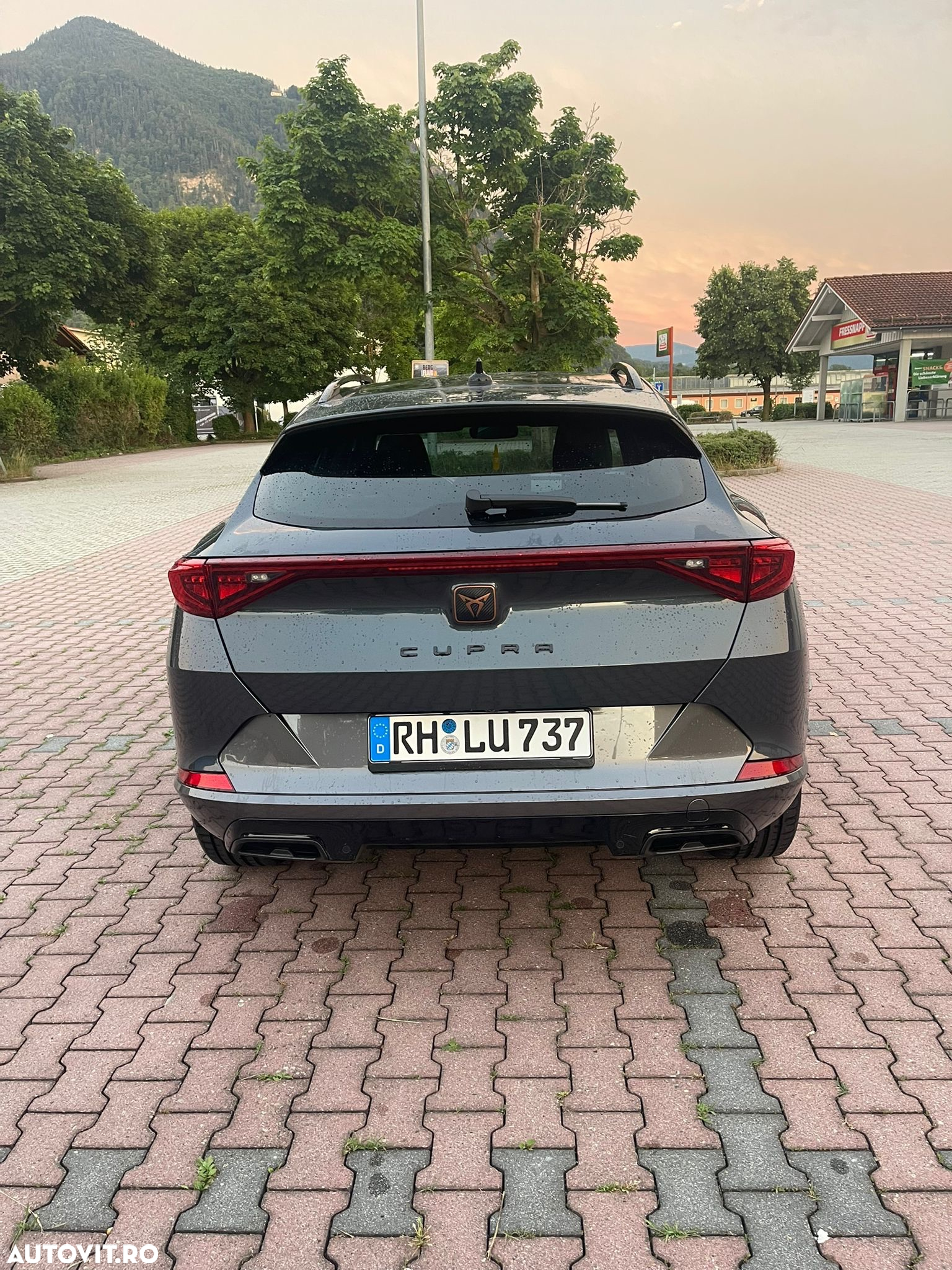 Cupra Formentor 2.0 TDI 4DRIVE - 6