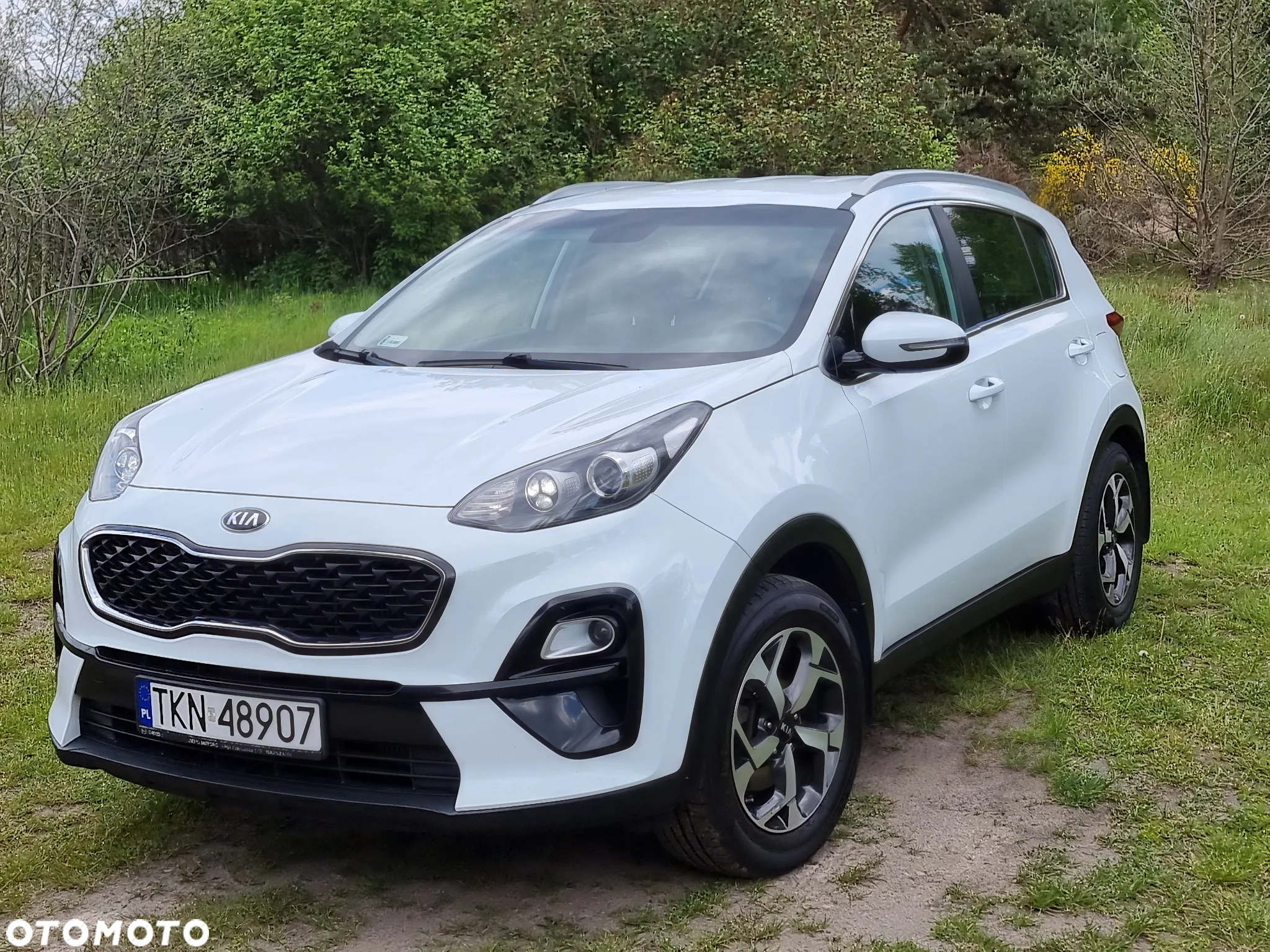Kia Sportage - 6