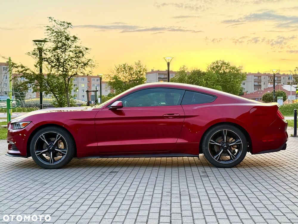 Ford Mustang - 5
