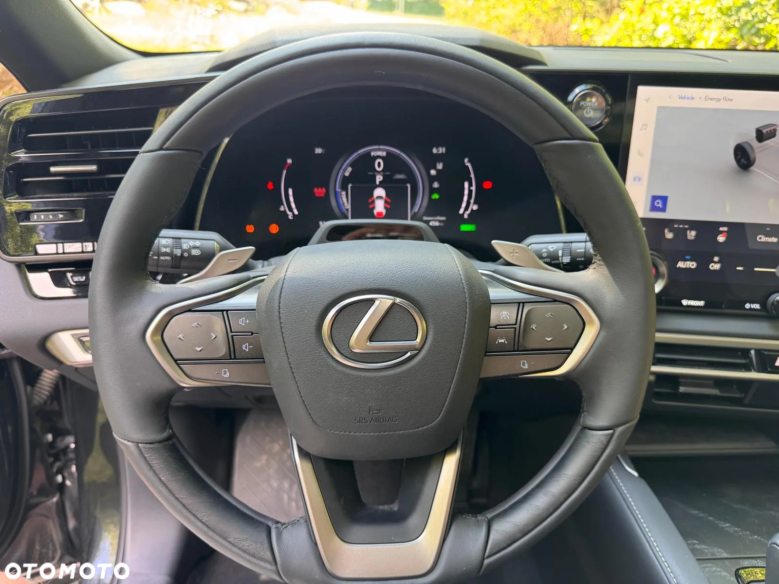 Lexus RX 350h (hybrid) Business - 32