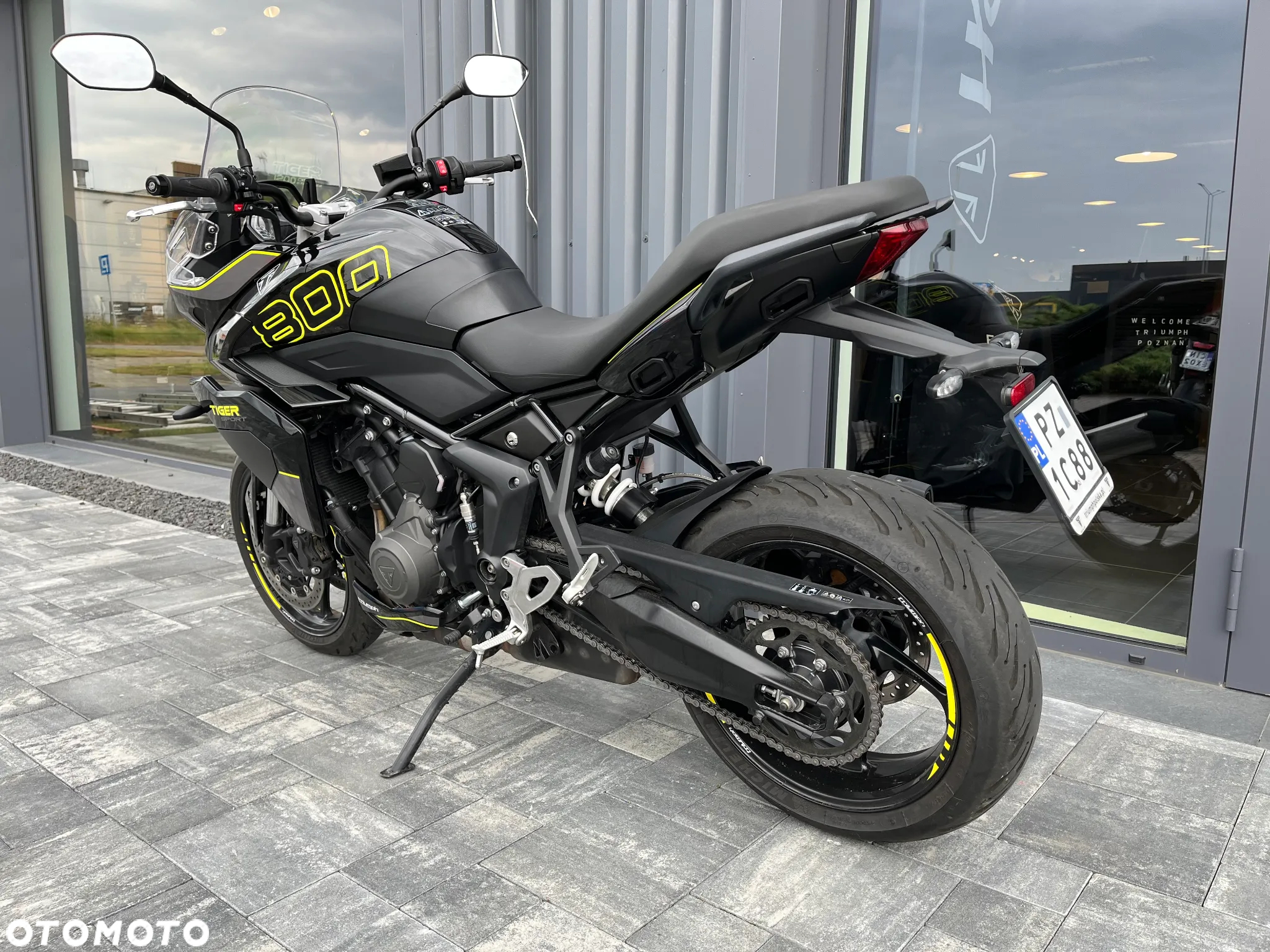Triumph Tiger - 3