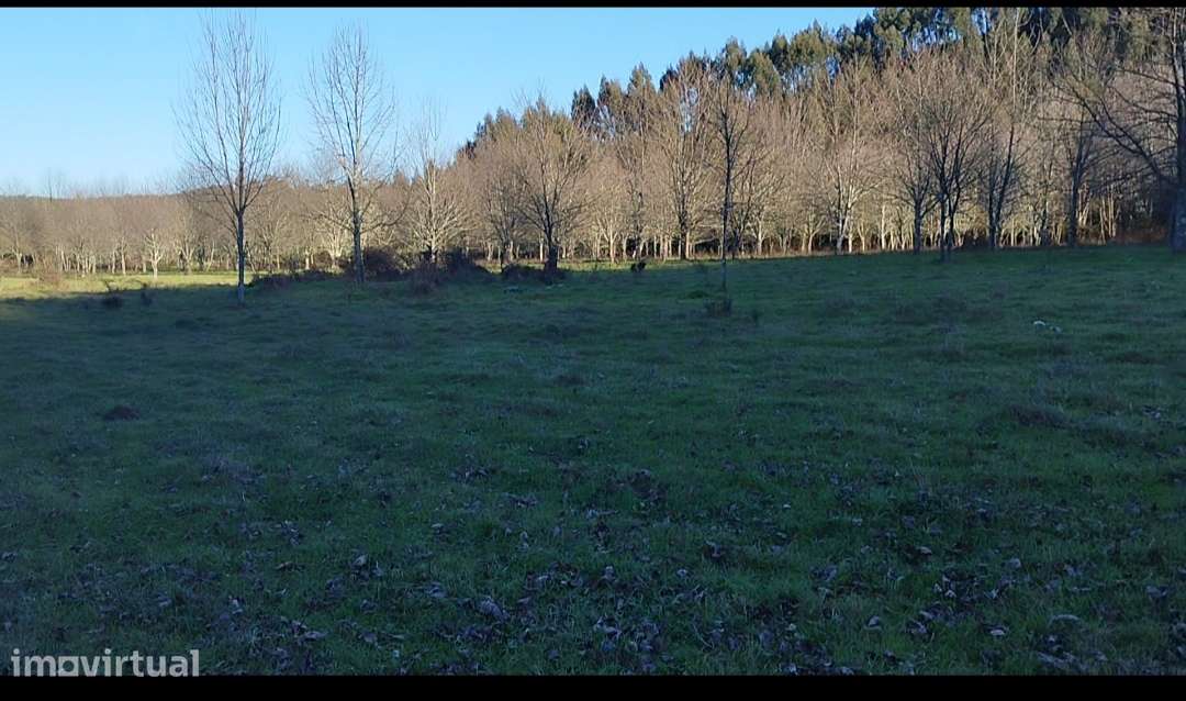Terreno agrícola da reserva nacional - Grande imagem: 2/8