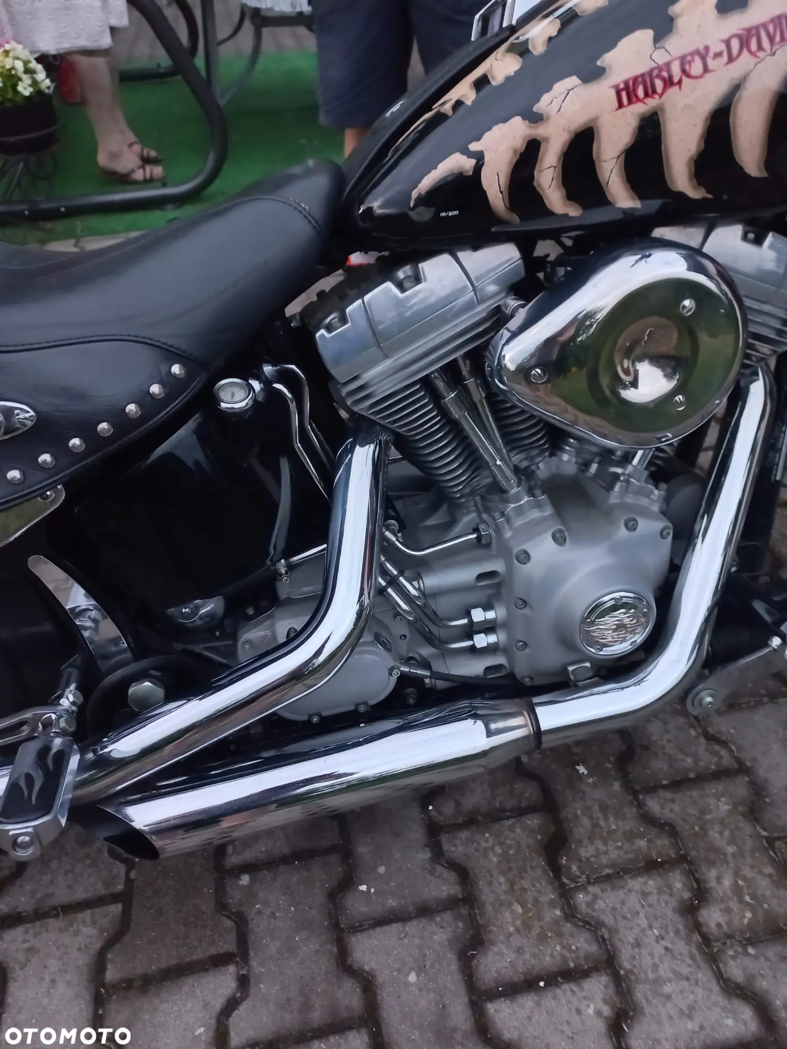Harley-Davidson Softail - 5