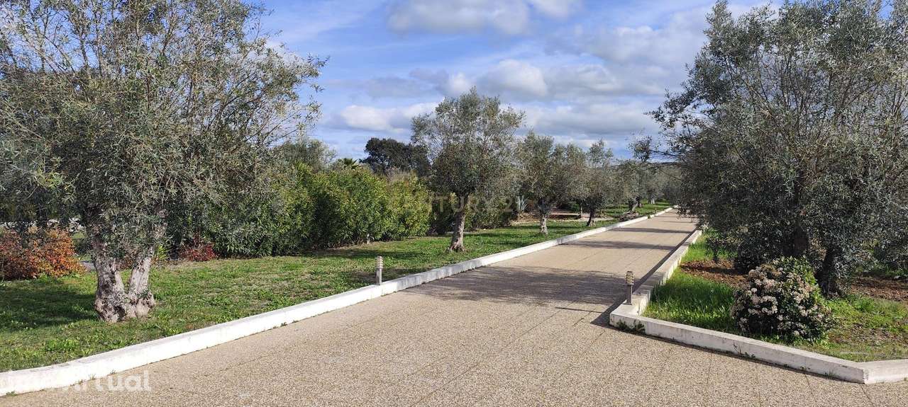 Encantadora Herdade em Avis - Portalegre com Olival e Bons Acessos - Grande imagem: 5/54