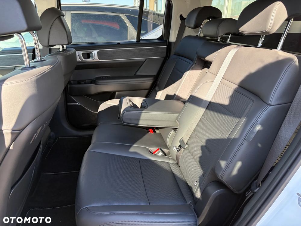 Hyundai Santa Fe - 19