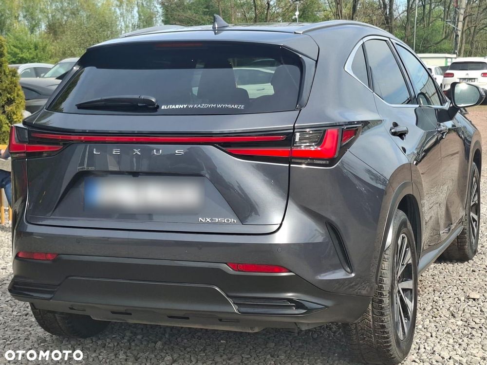 Lexus NX - 15
