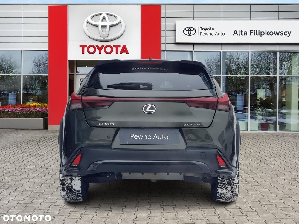 Lexus UX 300h F Sport Design - 9