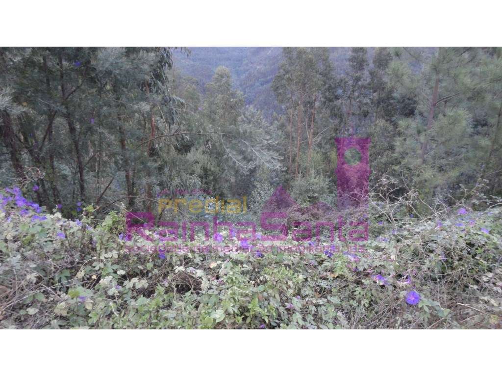 Terreno urbano - Casal da Misarela - Grande imagem: 3/11