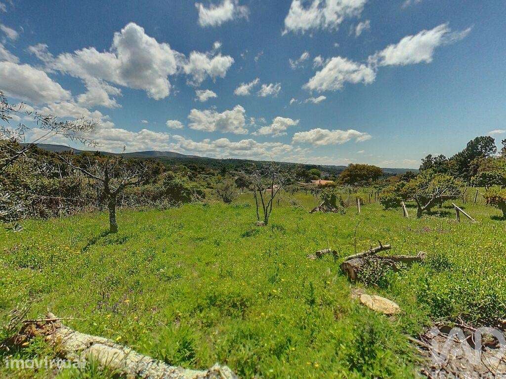 Terreno Agrícola em Pedrógão Pequeno - Grande imagem: 3/14