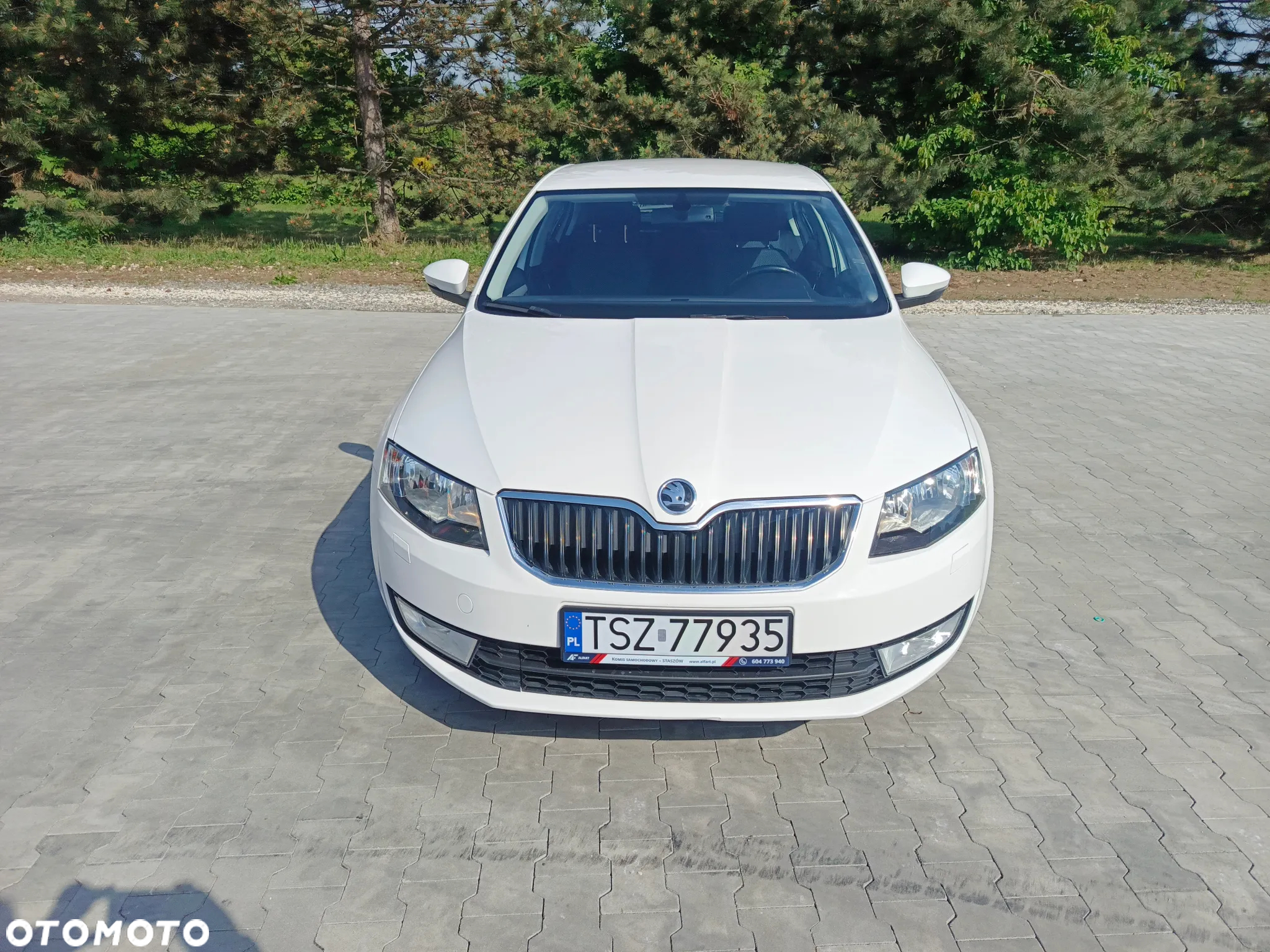 Skoda Octavia 1.6 TDI Greenline - 17