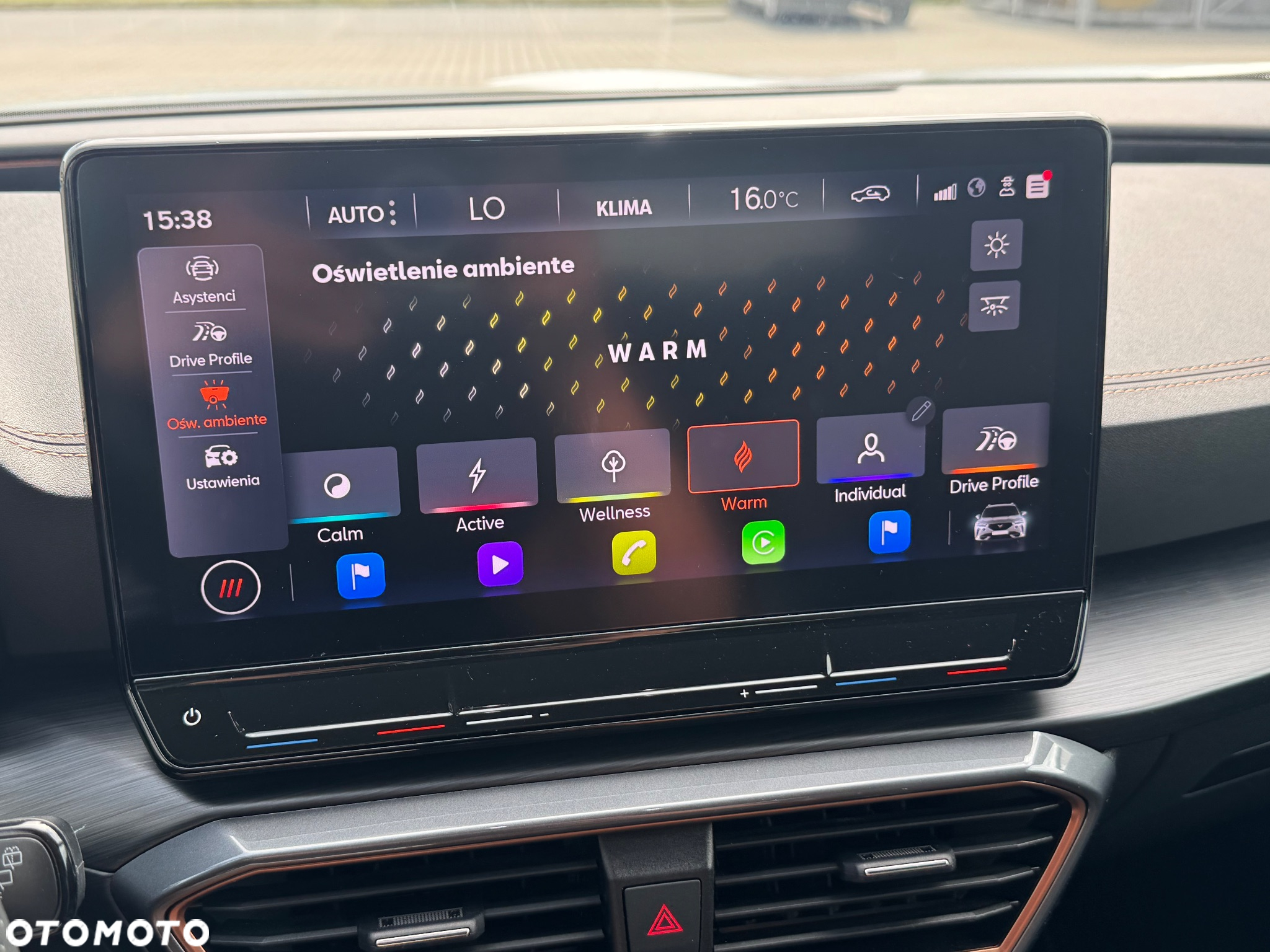 Cupra Formentor 1.5 TSI DSG Tribe Edition - 29