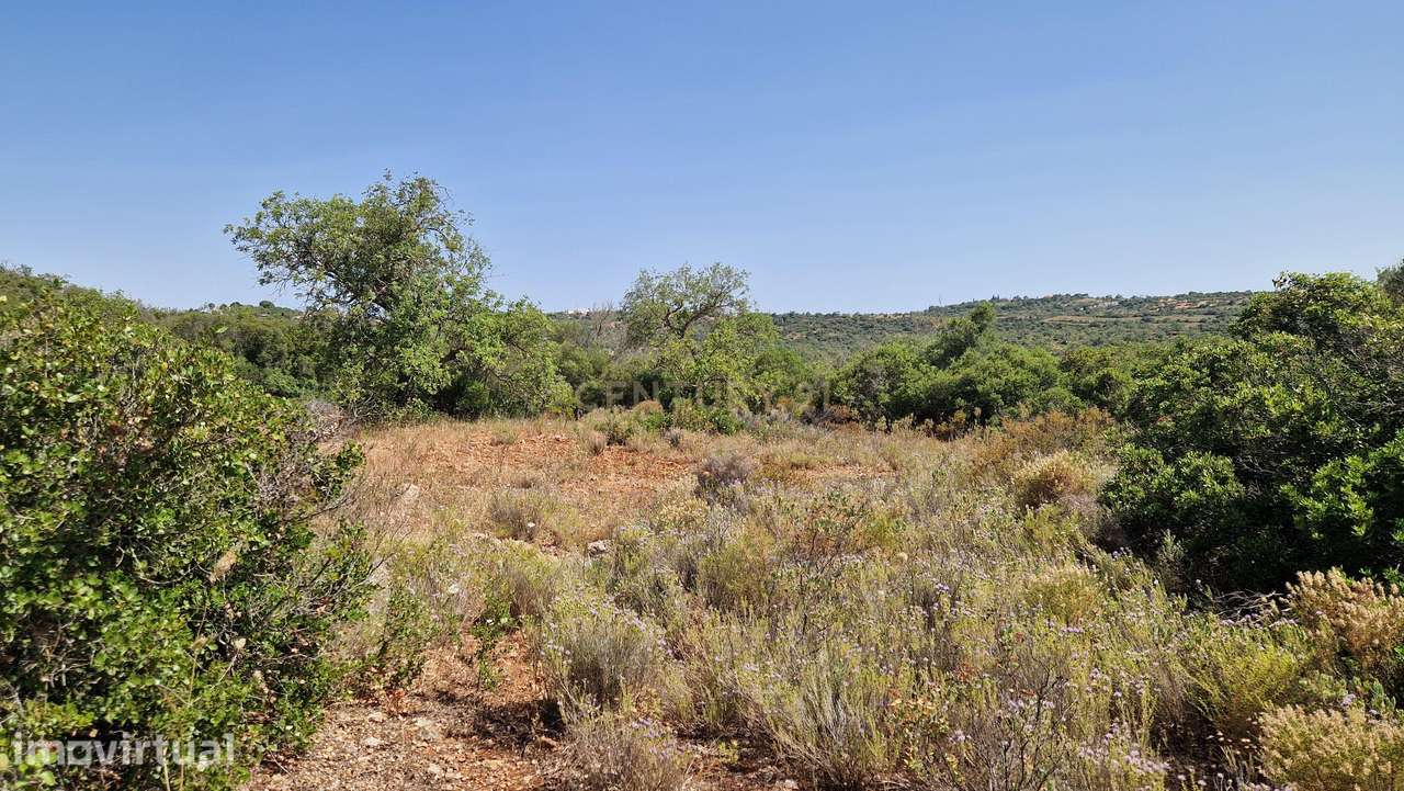 Terreno, 6 000 m², Paderne - Grande imagem: 2/11