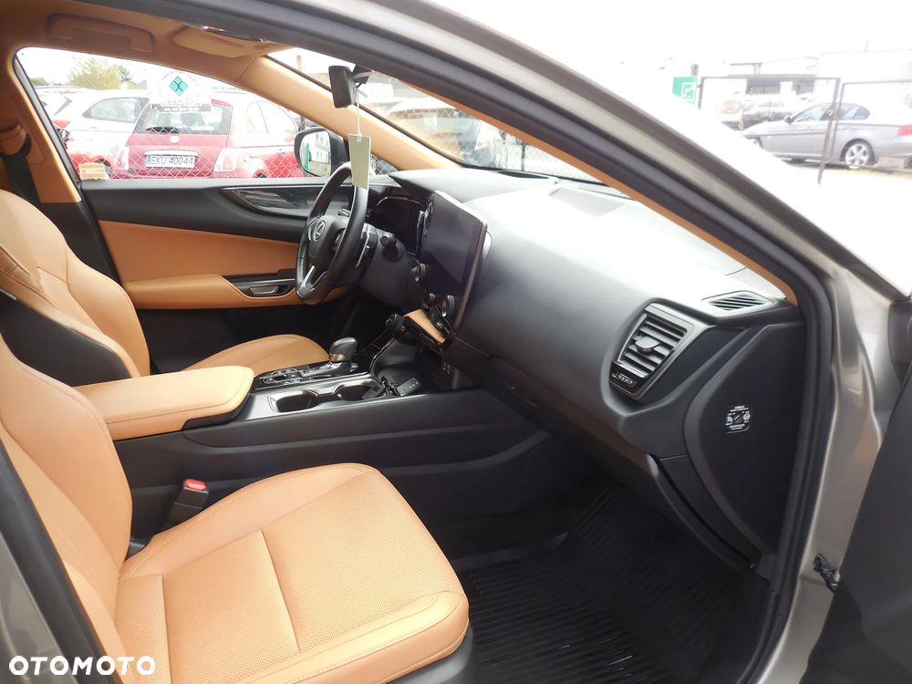 Lexus NX - 13