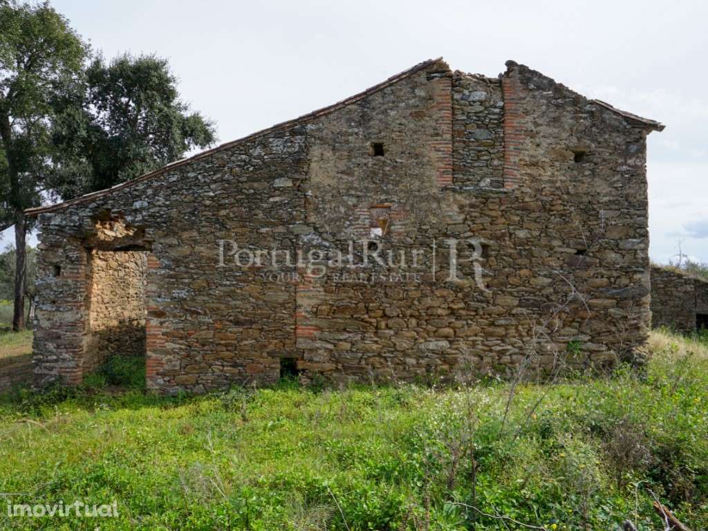 Quintinha rural com moradia T5 aprovada, em Mouriscas - Abrantes - Grande imagem: 3/18