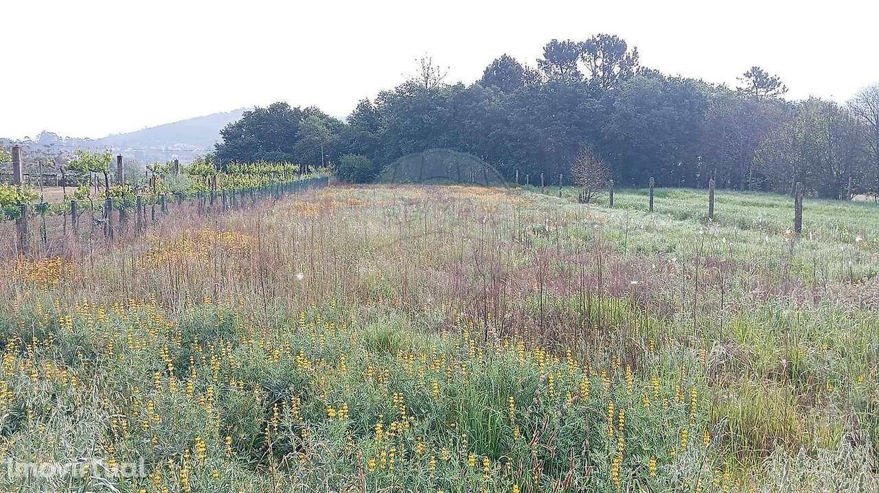 Terreno  para venda - Grande imagem: 4/5